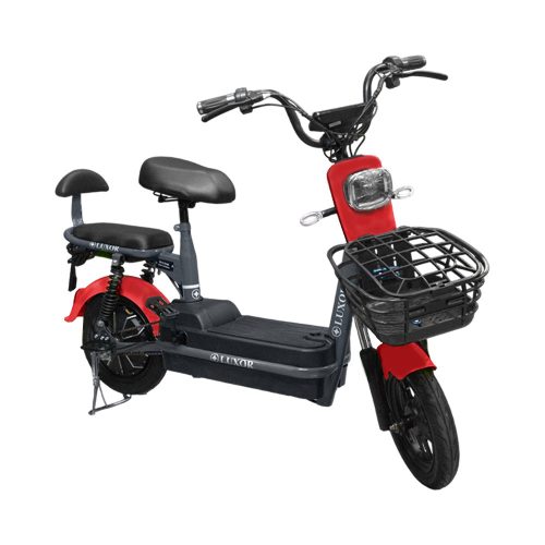 MOTO ELÉCTRICA LUXOR OFY-XWZ01 500W